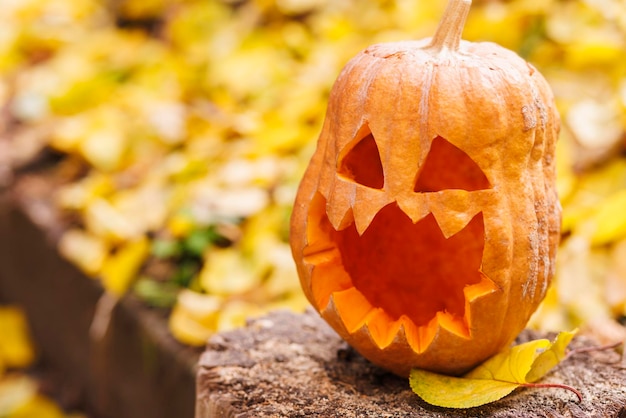 Calabaza de Halloween en tocón contra hojas amarillas en el parque o bosque en otoño