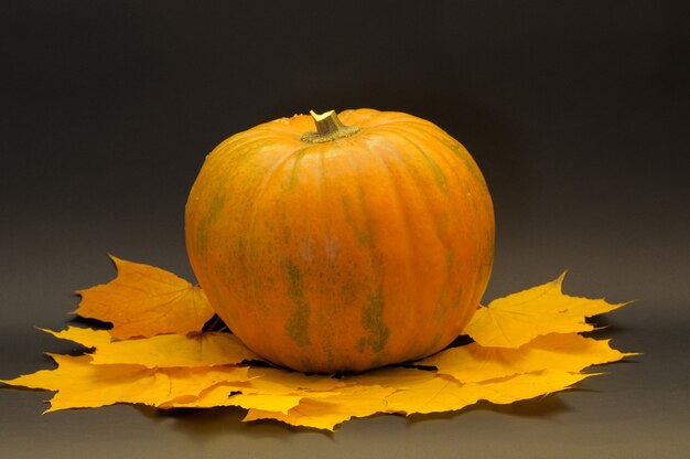 Calabaza de halloween