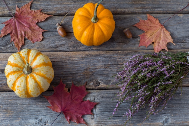 Calabaza, hojas brillantes de un arce, brezo y bellotas.