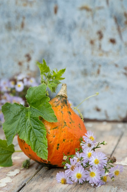 Calabaza con hojas y flores