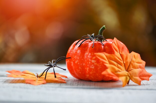 Calabaza, hojas de otoño y arañas