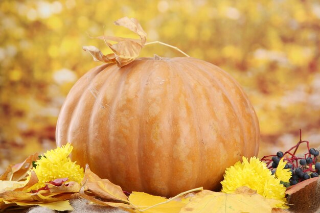 Calabaza y hojas de otoño sobre fondo amarillo