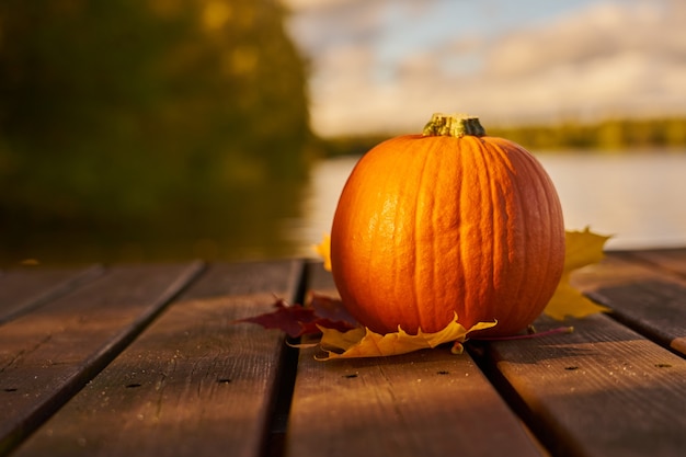 Calabaza y hojas de otoño sobre tablas de madera con lago al fondo.