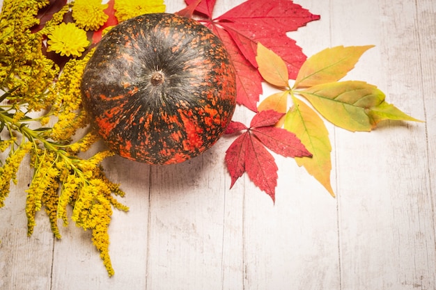 Calabaza y hojas de otoño