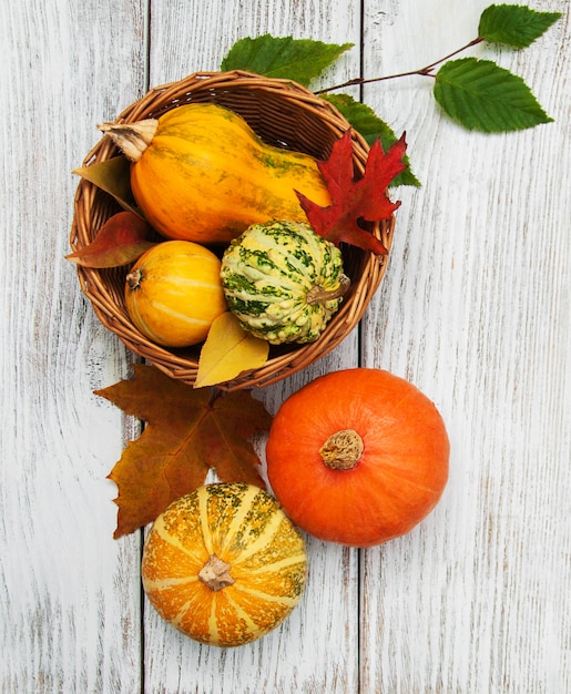 Calabaza y hojas