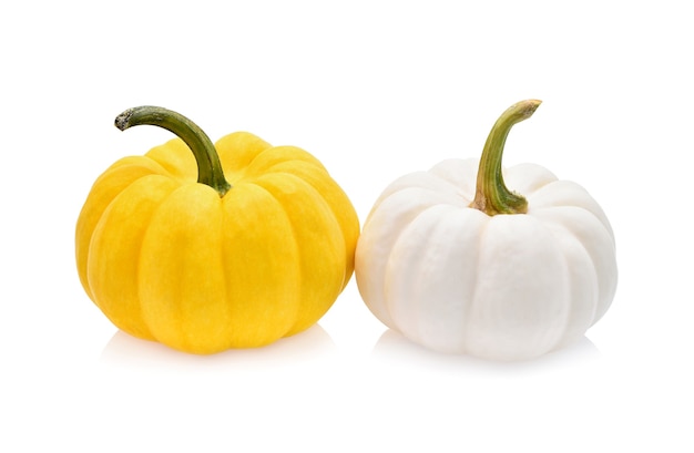 Calabaza de lujo aislado en la pared blanca