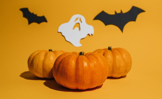 Calabaza madura fresca sobre fondo naranja. Espacio con murciélagos y concepto de Halloween fantasma.