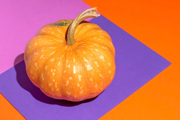 Calabaza madura sobre un fondo naranja halloween Vista superiorEspacio para texto