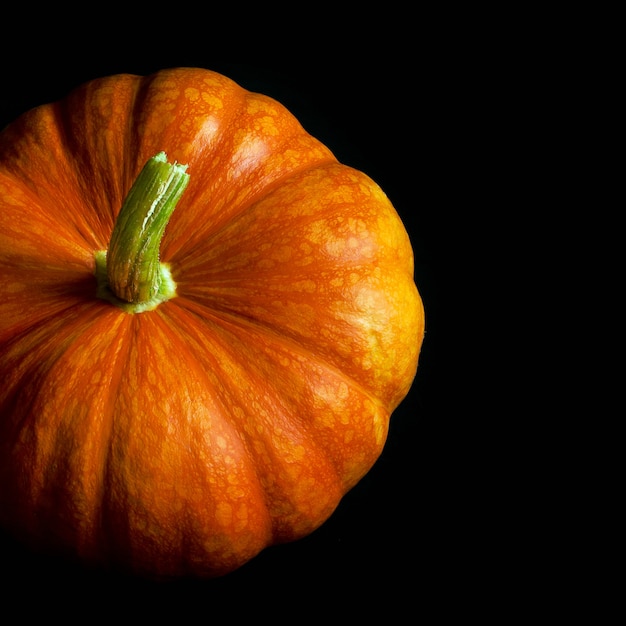 Calabaza madura sobre un fondo negro