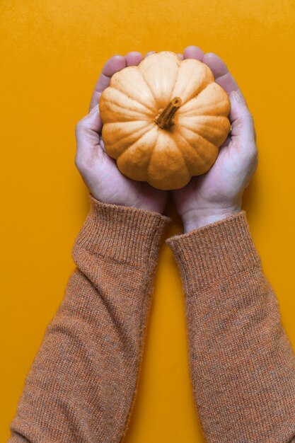 Calabaza en manos masculinas en calabaza