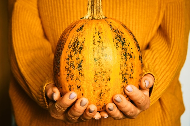 Foto calabaza en manos de mujer con cálido suéter de lana cálido otoño naranja