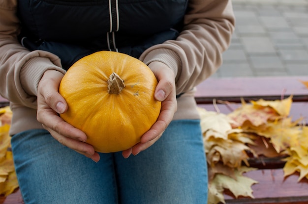 Calabaza en manos de una mujer en el fondo de un banco