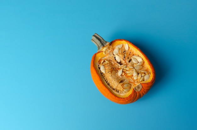 Calabaza mediana aislado sobre fondo azul.