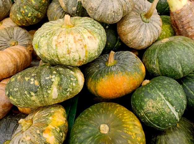 Calabaza en el mercado fresco