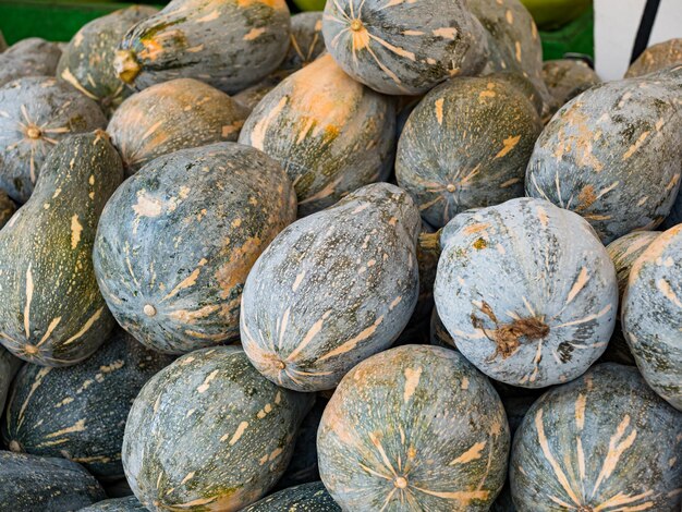 Calabaza en el mercado del granjero. Muchas calabazas diferentes. Calabaza amarilla y verde. Cosecha de otoño recolectada