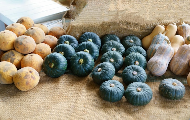 calabaza en el mercado local