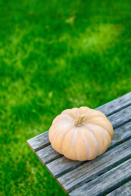 Calabaza en una mesa de madera en el césped