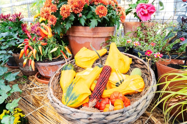 Calabaza en la mesa