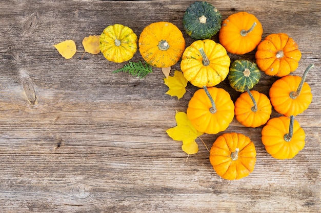 Calabaza en la mesa