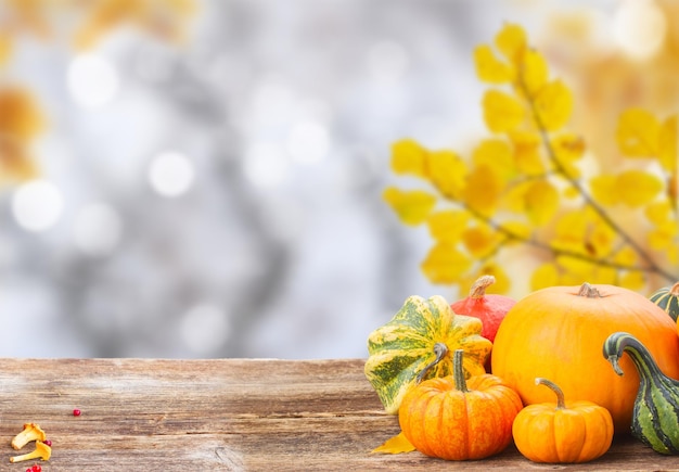 Calabaza en la mesa