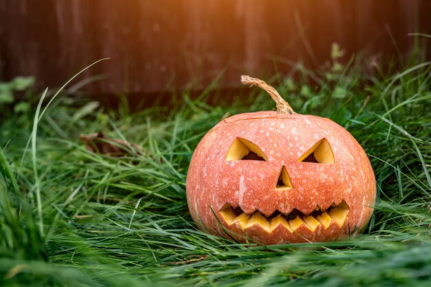 Calabaza de miedo para Halloween en la hierba.