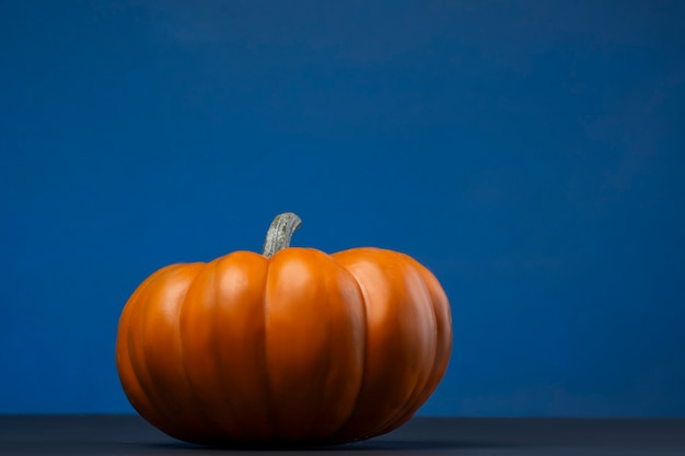 Foto calabaza mini com fundo de cor azul para halloween