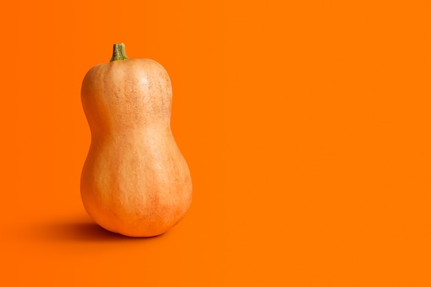 calabaza naranja aislada