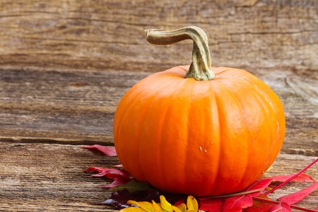 Calabaza naranja brillante con hojas de otoño sobre mesa con textura de madera