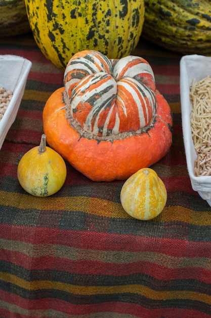 Una calabaza naranja y dos pequeñas calabazas amarillas