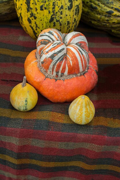 Foto una calabaza naranja y dos pequeñas calabazas amarillas