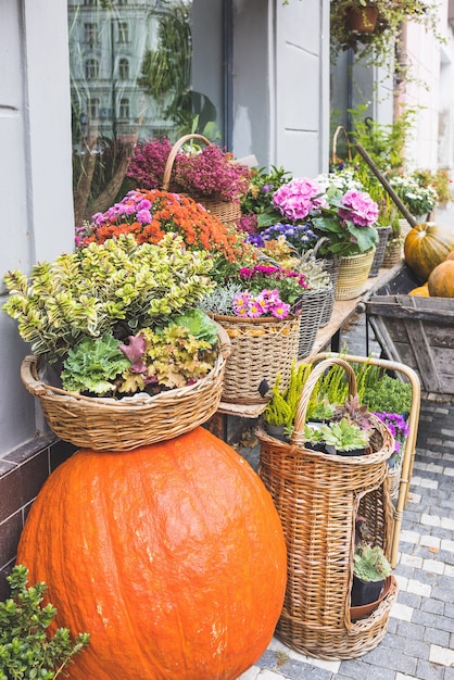 Calabaza naranja grande frente a la floristería decoración de otoño de halloween y acción de gracias