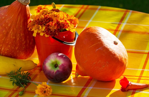 Calabaza naranja en jardín en otoño.