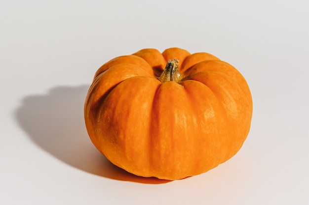 Calabaza naranja madura fresca sobre fondo blanco. Espacio para el concepto de Halloween de maqueta de texto