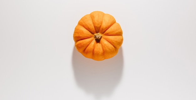 Calabaza naranja madura fresca sobre fondo blanco. Espacio para el concepto de Halloween de maqueta de texto