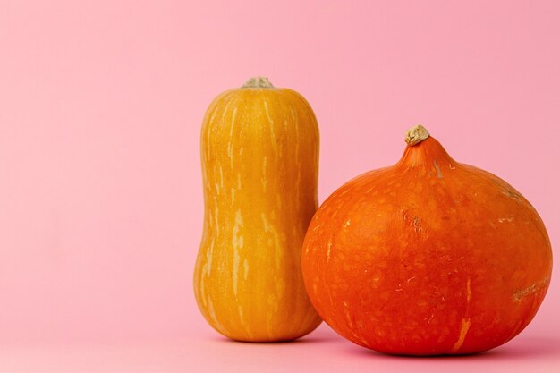 Calabaza naranja en vista frontal rosa