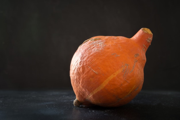 Calabaza orgánica MIsshapen