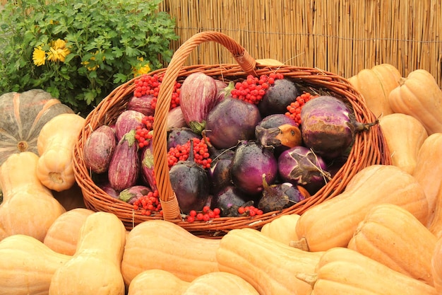 Calabaza orgánica y verdura en cesta de mimbre en feria agrícola. Cosecha del concepto de tiempo de otoño.