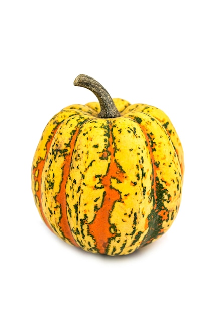 la calabaza ornamental decorativa amarilla natural