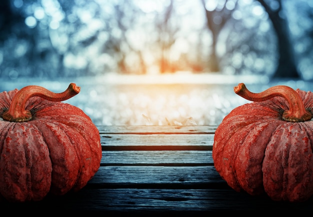 Calabaza con oscuridad en el parque.