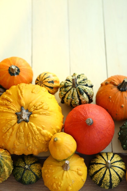 Foto calabaza de otoño. calabazas decorativas multicoloras fijadas en fondo amarillo de madera. cosecha del otoño. abundancia del otoño. visión superior, espacio de la copia.