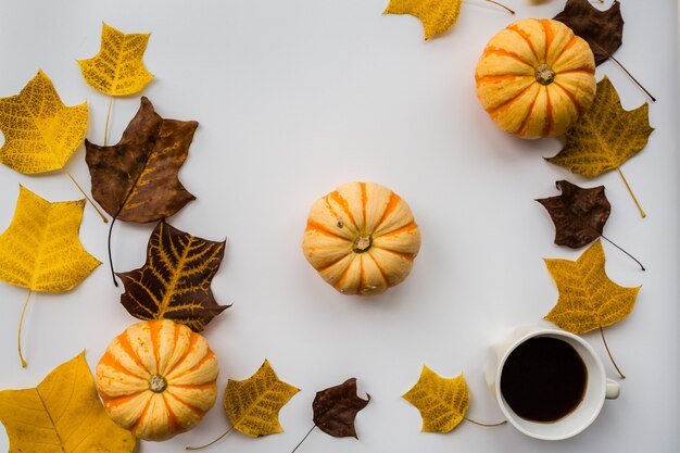 Calabaza de otoño, taza de café negro y hojas de otoño