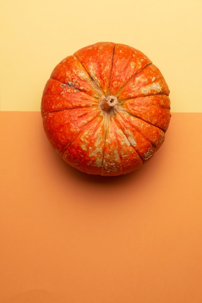 Calabaza de otoño