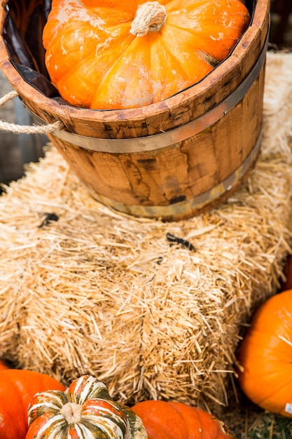 Foto calabaza en paja