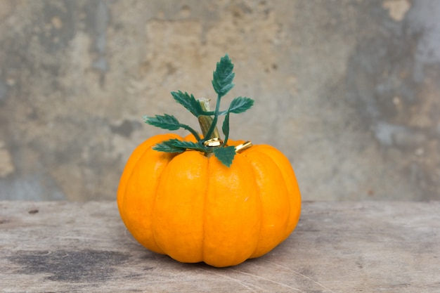 Calabaza en la pared vieja