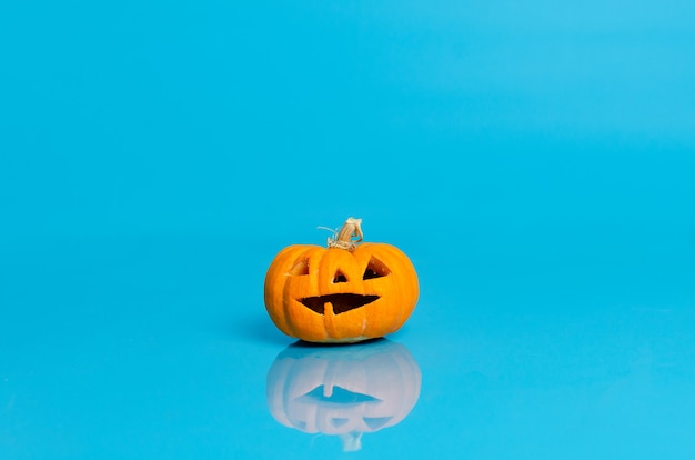 Calabaza pequeña sobre fondo azul con reflejo en el suelo