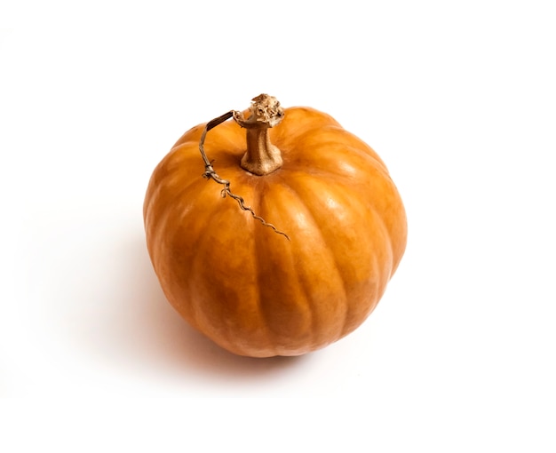 Calabaza redonda aislada