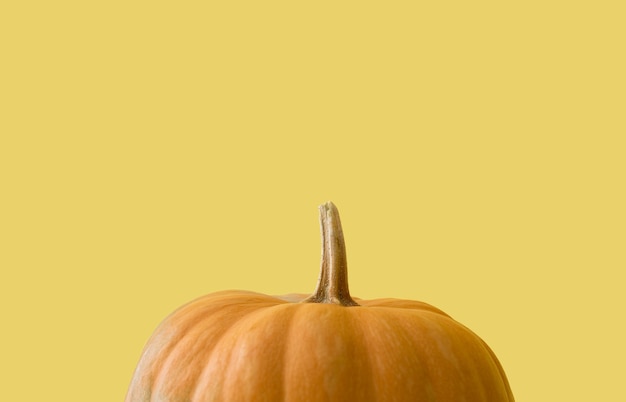 Calabaza sobre fondo amarillo. Calabaza amarilla. Concepto de otoño, día de acción de gracias. Lugar para el texto.