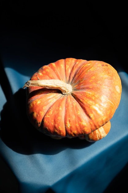 calabaza sobre un fondo azul oscuro de halloween