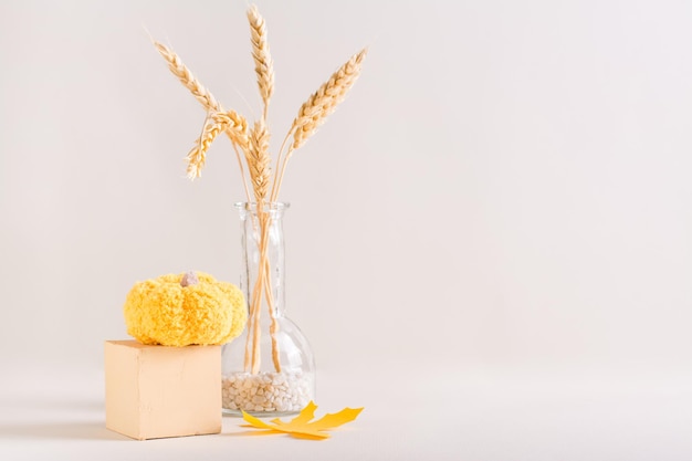 Calabaza tejida en un cubo y orejas en una botella sobre un fondo claro Decoración de otoño