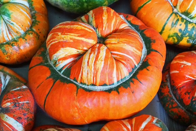 Calabaza en tienda de verduras